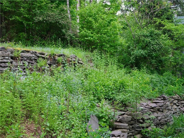 36 Pinetree Ln, Middletown, NY 12430 - view of woods