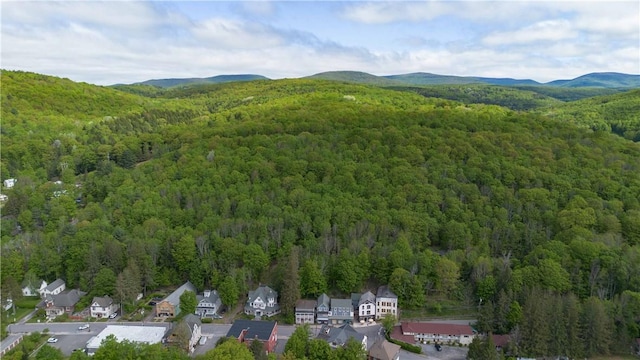 36 Pinetree Ln, Middletown, NY 12430 - aerial view of property and surrounding area featuring a heavily wooded area and a mountain backdrop