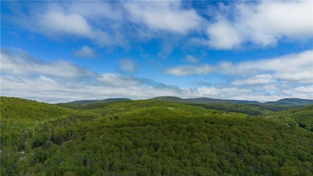 36 Pinetree Ln, Middletown, NY 12430 - view of mountain backdrop with a forest