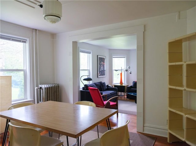 36 Pinetree Ln, Middletown, NY 12430 - dining area featuring radiator heating unit, wood finished floors, and baseboards