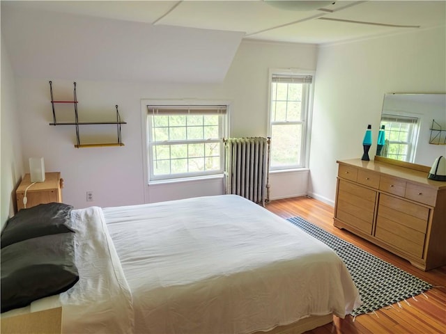 36 Pinetree Ln, Middletown, NY 12430 - bedroom featuring radiator heating unit, light wood-style floors, and baseboards