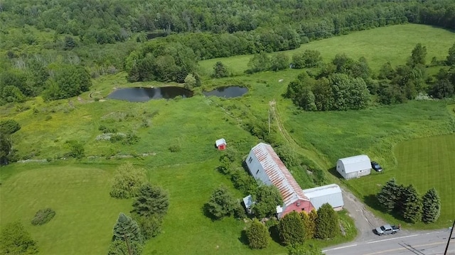 278 Taylor Rd, Jefferson, NY 12167 - aerial view of a large body of water and a heavily wooded area