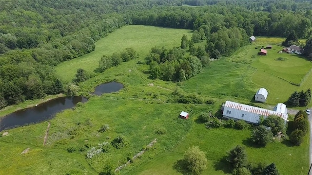 278 Taylor Rd, Jefferson, NY 12167 - aerial view of sparsely populated area with a large body of water and a heavily wooded area