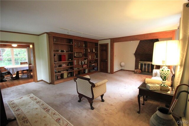 14 Fenner St, Cazenovia, NY 13035 - sitting room featuring baseboards, carpet flooring, a fireplace, ornamental molding, and rail lighting