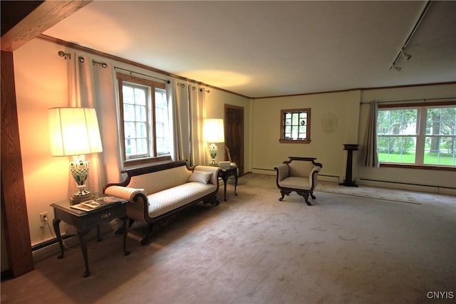 14 Fenner St, Cazenovia, NY 13035 - sitting room featuring rail lighting, carpet, and a baseboard radiator