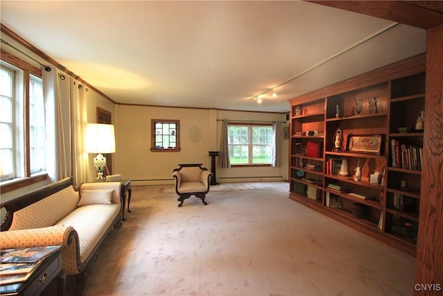 14 Fenner St, Cazenovia, NY 13035 - sitting room featuring carpet floors