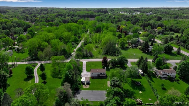 591 Girdle Rd, Elma, NY 14052 - aerial view of a forest