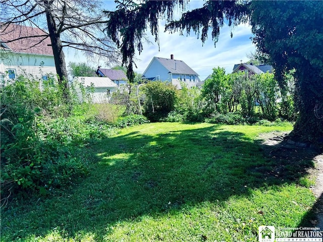 83 E Doughty St, Dunkirk-City, NY 14048 - view of green lawn