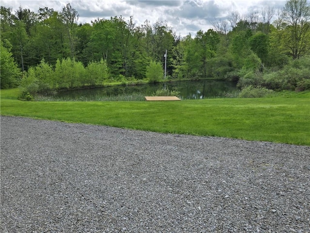 1311 Snake Creek Rd, Hancock, NY 13783 - view of street with a water view and a view of trees
