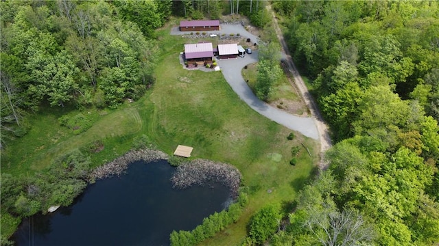 1311 Snake Creek Rd, Hancock, NY 13783 - aerial overview of property's location featuring a nearby body of water