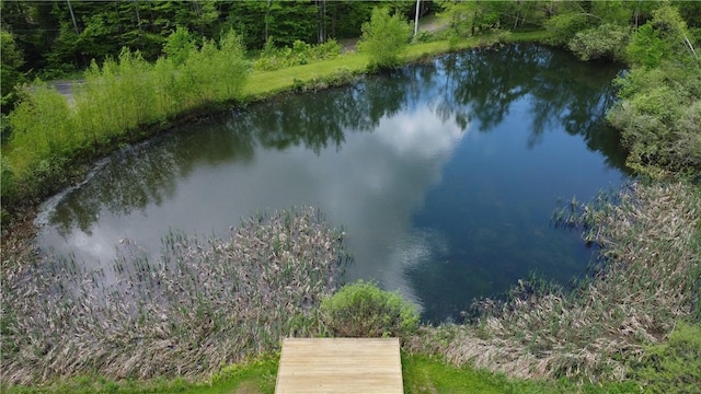 1311 Snake Creek Rd, Hancock, NY 13783 - water view