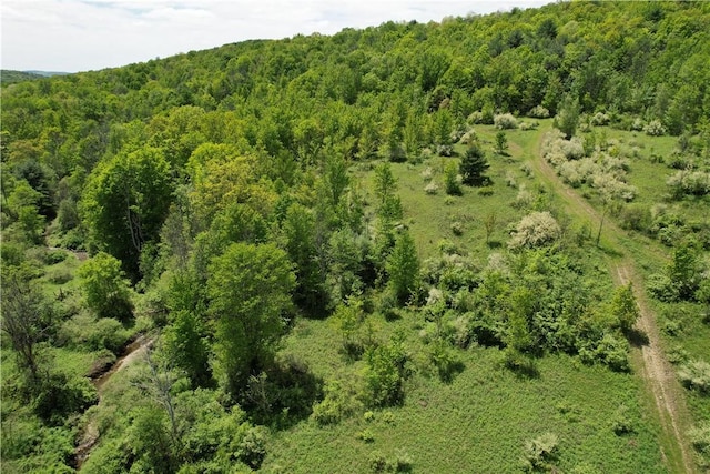 Mallory Rd, Chemung, NY 14825