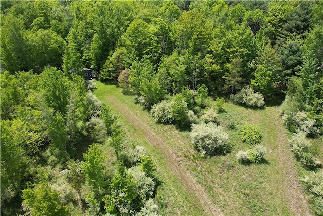 Mallory Rd, Chemung, NY 14825