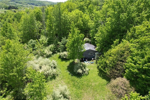 Mallory Rd, Chemung, NY 14825