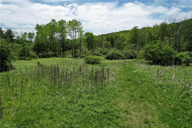 Mallory Rd, Chemung, NY 14825
