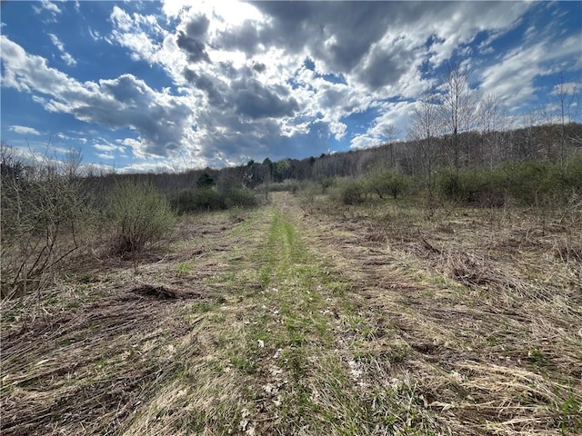 Mallory Rd, Chemung, NY 14825