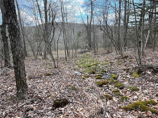 Mallory Rd, Chemung, NY 14825
