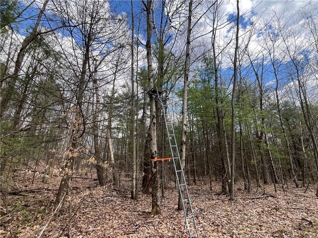 Mallory Rd, Chemung, NY 14825