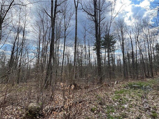 Mallory Rd, Chemung, NY 14825