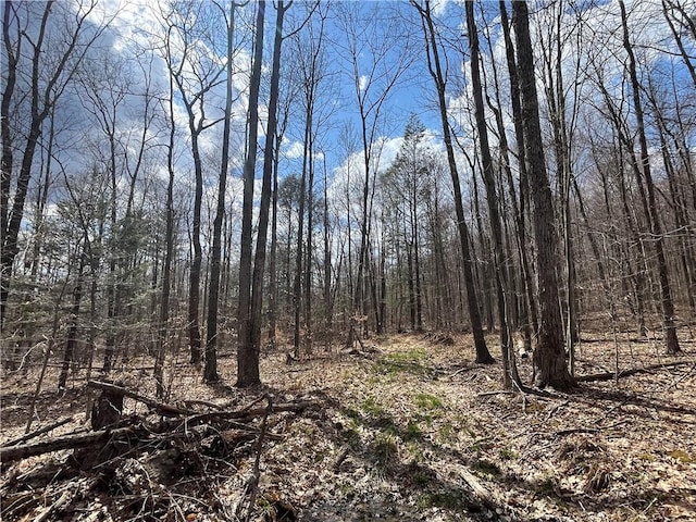 Mallory Rd, Chemung, NY 14825