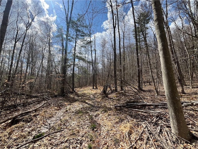 Mallory Rd, Chemung, NY 14825