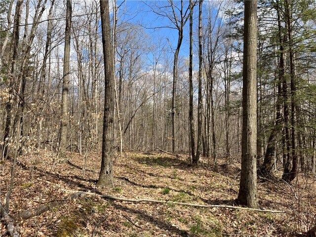 Mallory Rd, Chemung, NY 14825