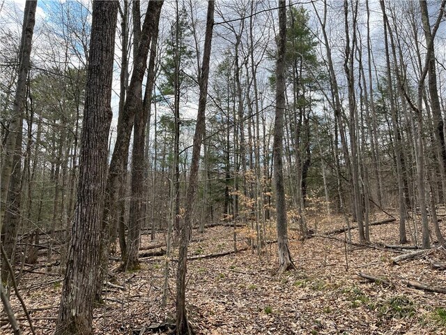 Mallory Rd, Chemung, NY 14825