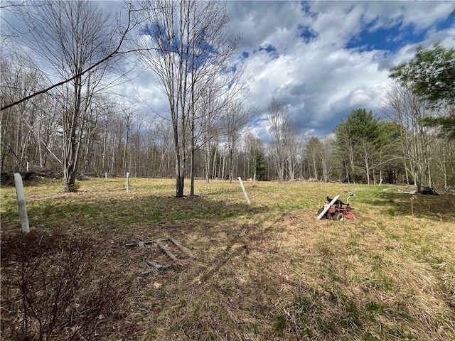Mallory Rd, Chemung, NY 14825