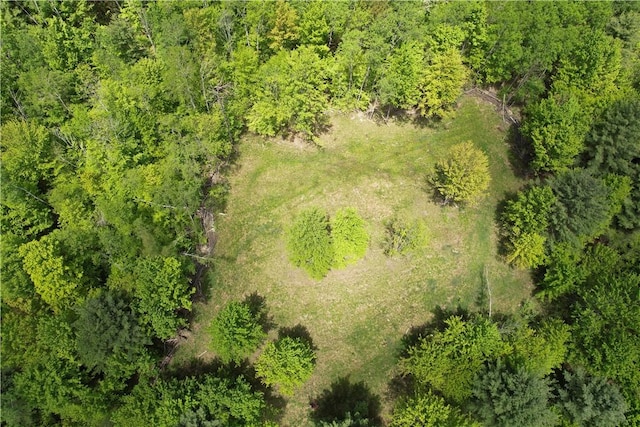 Mallory Rd, Chemung, NY 14825