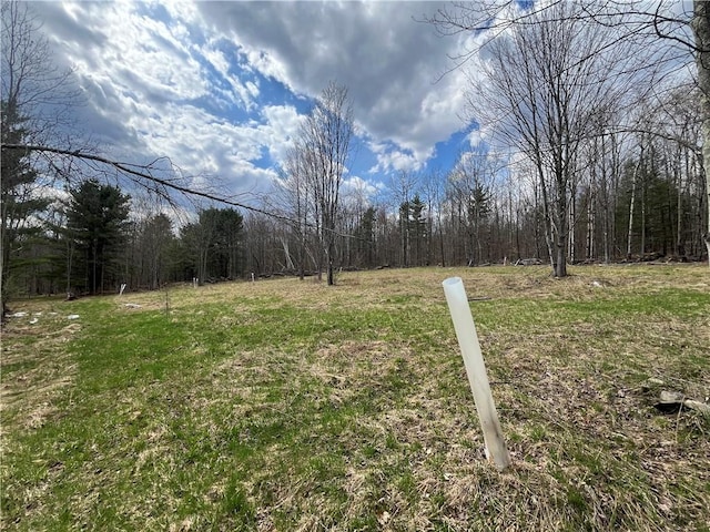 Mallory Rd, Chemung, NY 14825