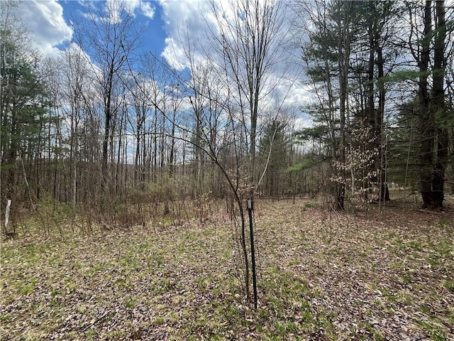 Mallory Rd, Chemung, NY 14825
