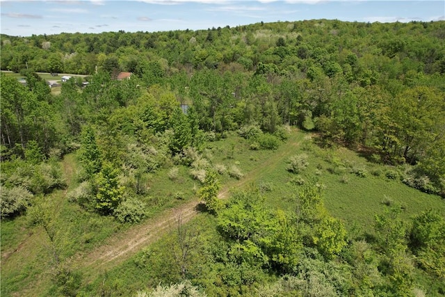 Mallory Rd, Chemung, NY 14825