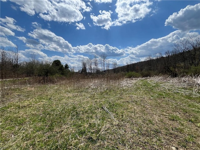 Mallory Rd, Chemung, NY 14825