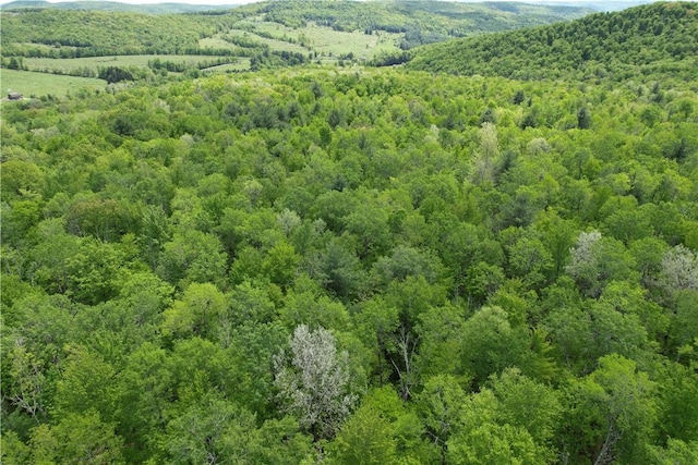 Mallory Rd, Chemung, NY 14825