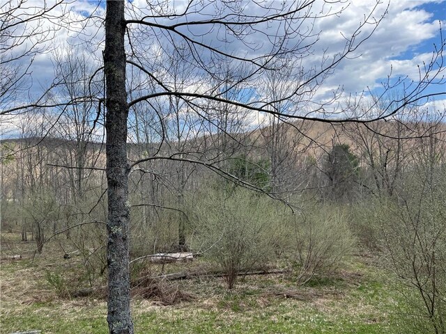 Mallory Rd, Chemung, NY 14825
