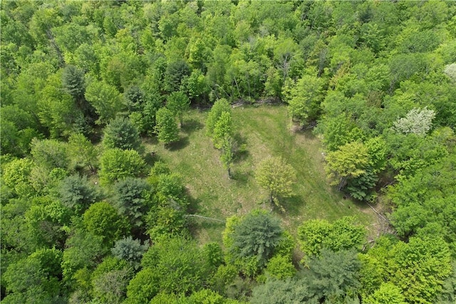 Mallory Rd, Chemung, NY 14825