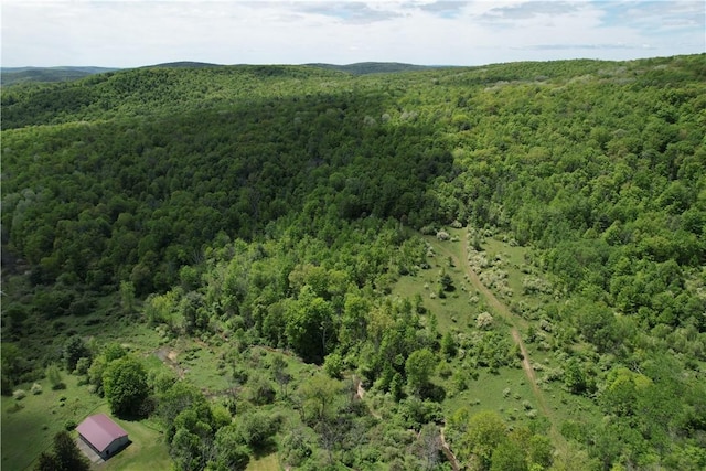 Mallory Rd, Chemung, NY 14825