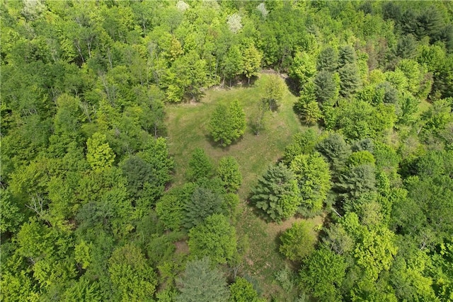 Mallory Rd, Chemung, NY 14825