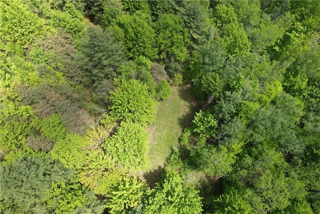 Mallory Rd, Chemung, NY 14825