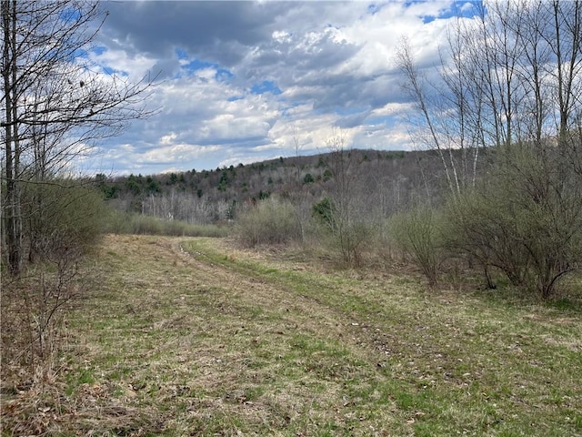 Mallory Rd, Chemung, NY 14825