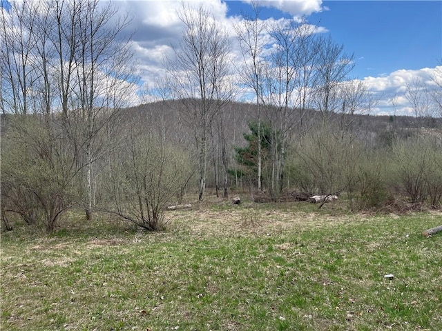 Mallory Rd, Chemung, NY 14825