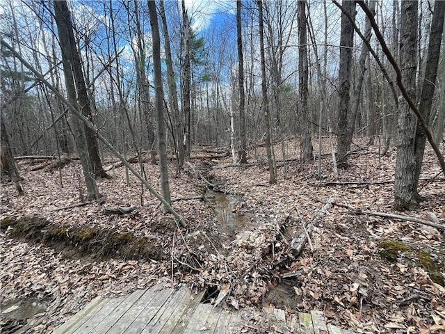 Mallory Rd, Chemung, NY 14825