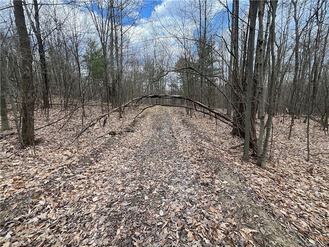 Mallory Rd, Chemung, NY 14825