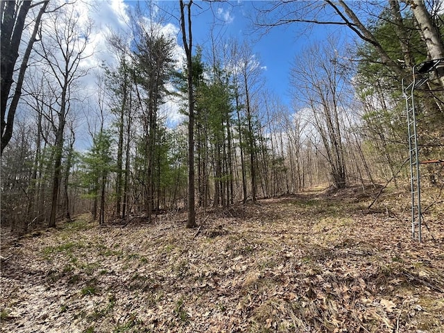 Mallory Rd, Chemung, NY 14825