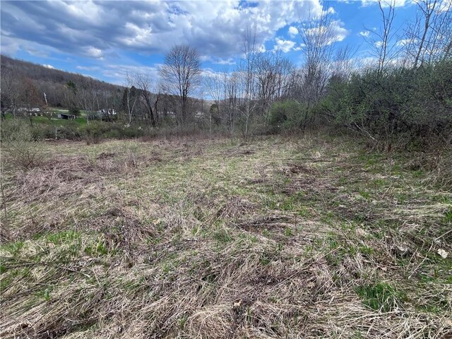 Mallory Rd, Chemung, NY 14825