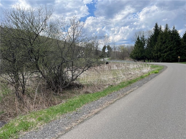 Mallory Rd, Chemung, NY 14825