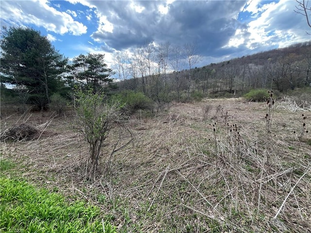 Mallory Rd, Chemung, NY 14825