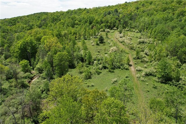Mallory Rd, Chemung, NY 14825