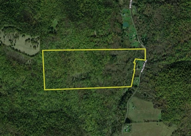Mallory Rd, Chemung, NY 14825