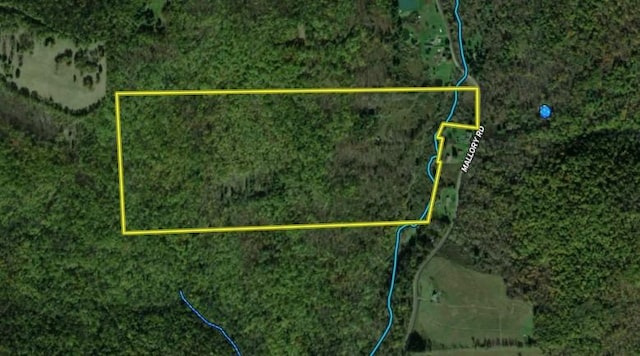 Mallory Rd, Chemung, NY 14825